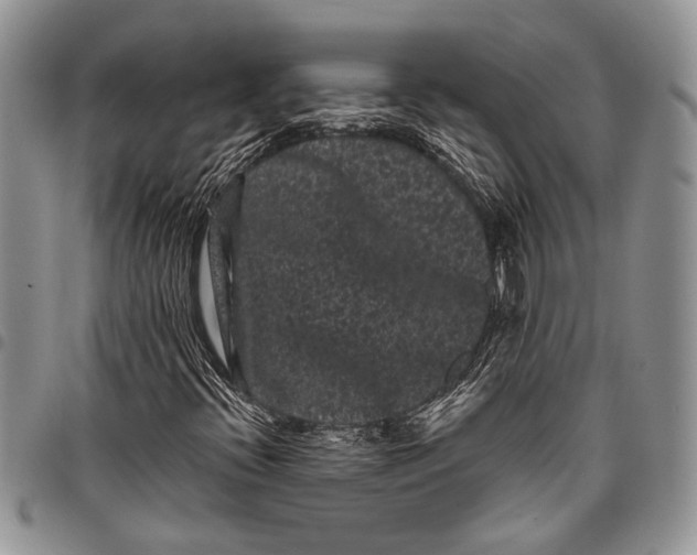 X0000097951396200804140951