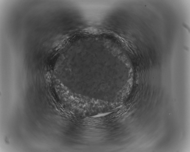 X0000097951397200804140951