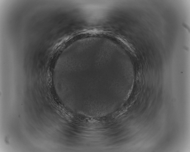 X0000097951398200804140951