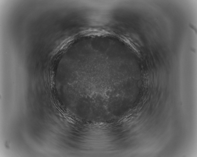 X0000097951399200804140951