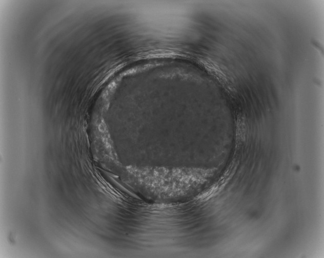 X0000097951401200804140951