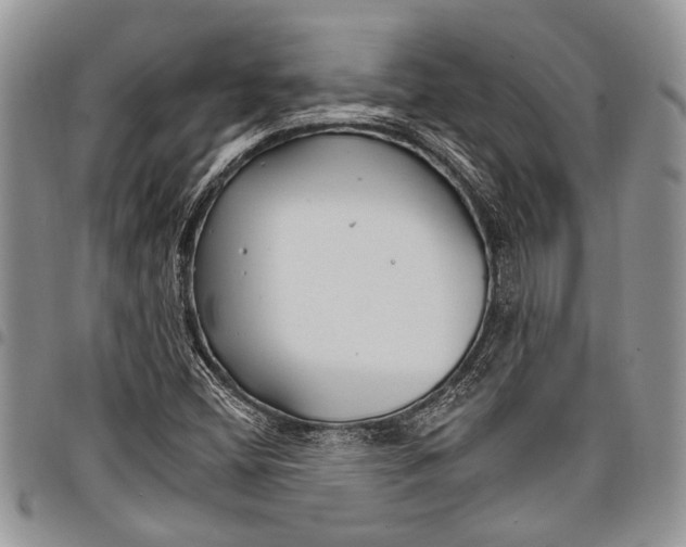 X0000097951404200804140951