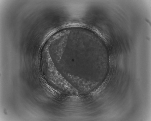 X0000097951405200804140951