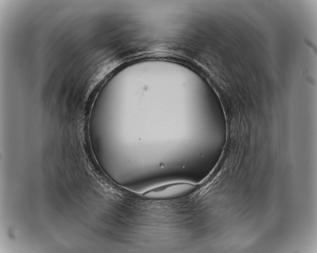 X0000097951410200804140951