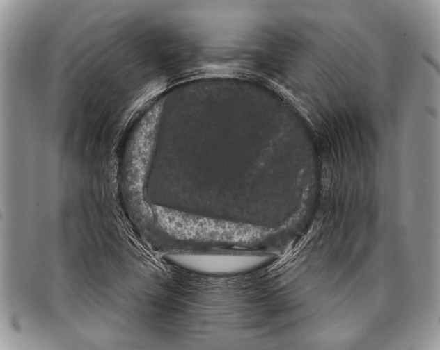 X0000097951411200804140951