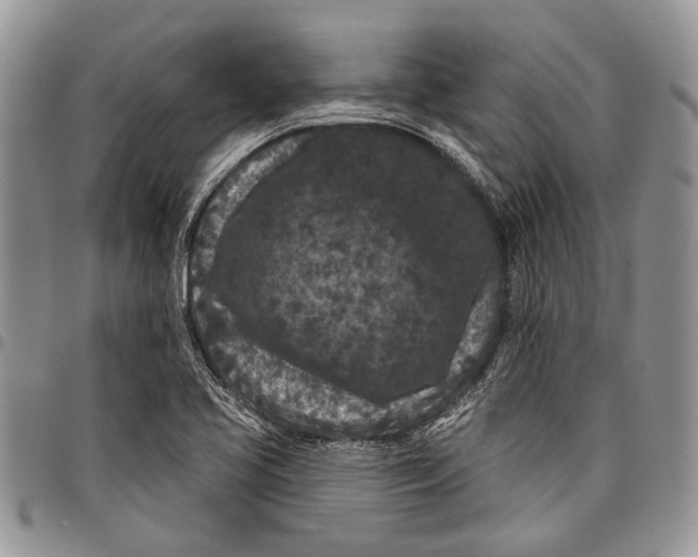 X0000097951413200804140951