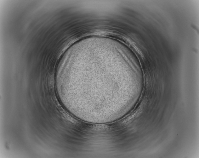 X0000097951417200804140951