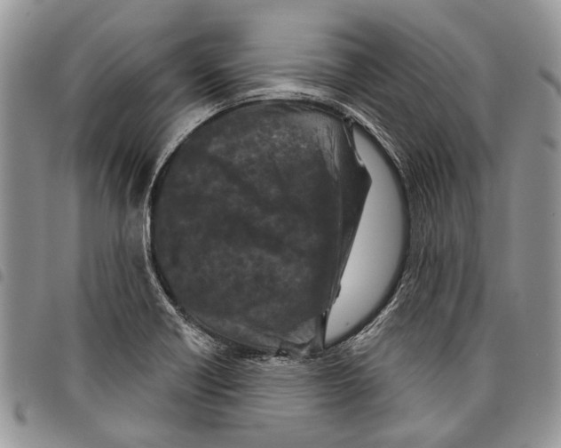 X0000097951418200804140951