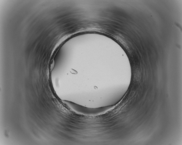 X0000097951420200804140951