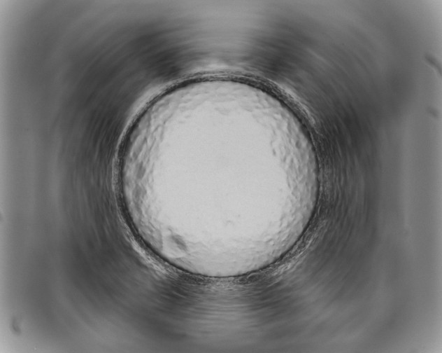 X0000097951421200804140951