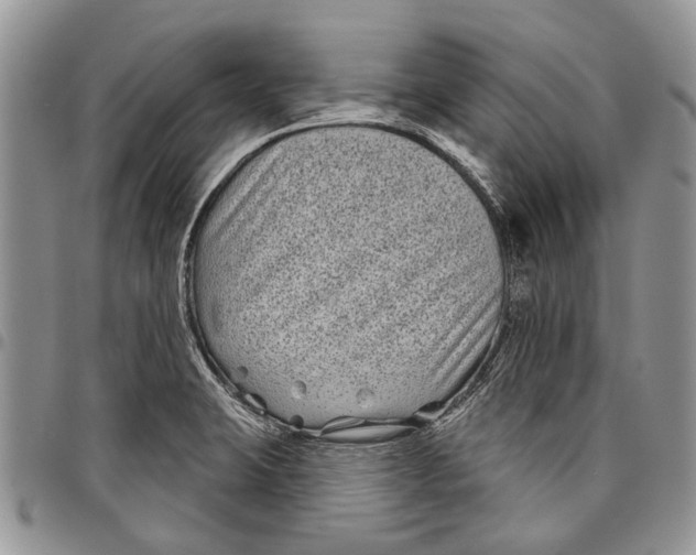 X0000097951423200804140951