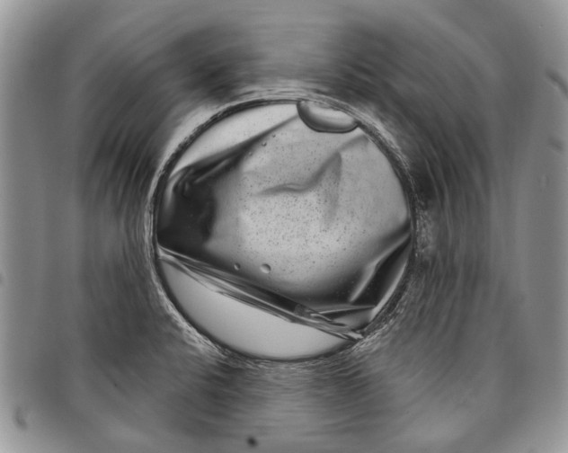 X0000097951424200804140951