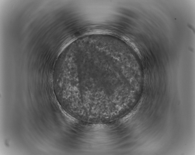 X0000097951425200804140951
