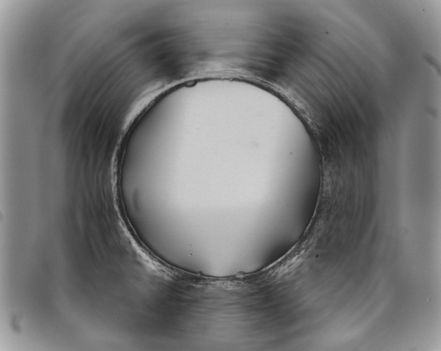 X0000097951430200804140951