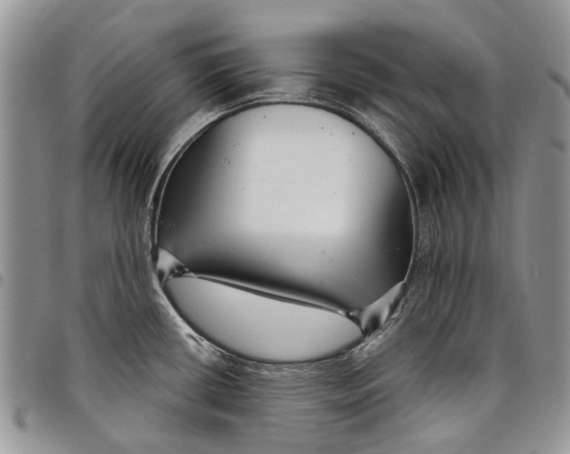 X0000097951434200804140951