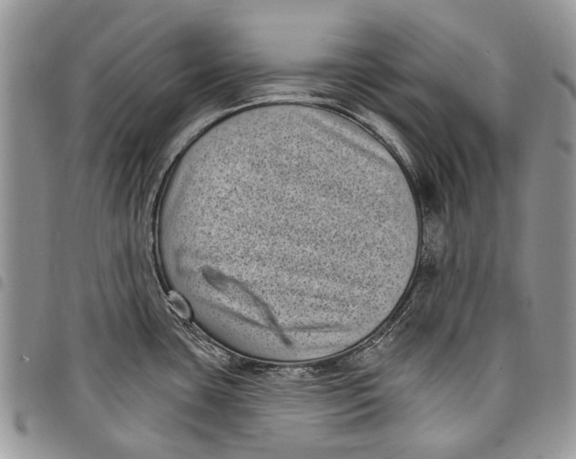 X0000097951435200804140951