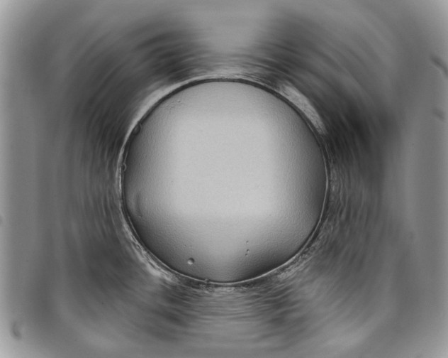 X0000097951436200804140951