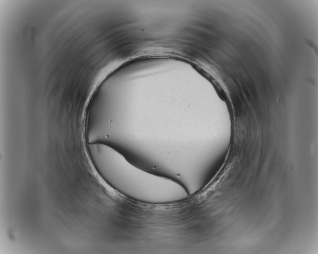 X0000097951437200804140952