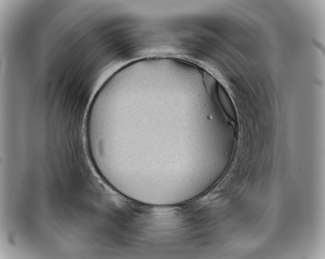 X0000097951440200804140952