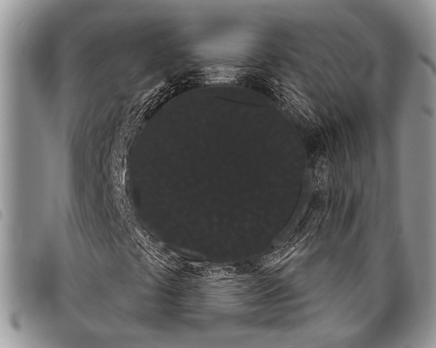 X0000097951441200804140951