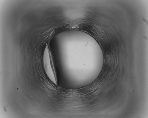 X0000097951442200804140951