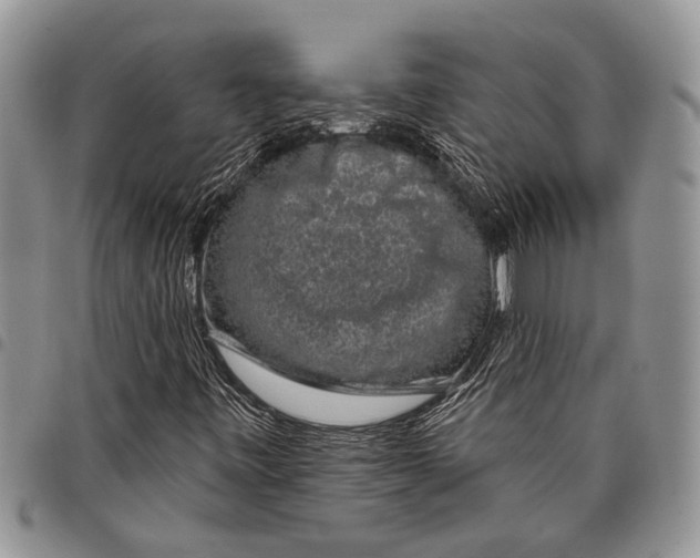 X0000097951443200804140951