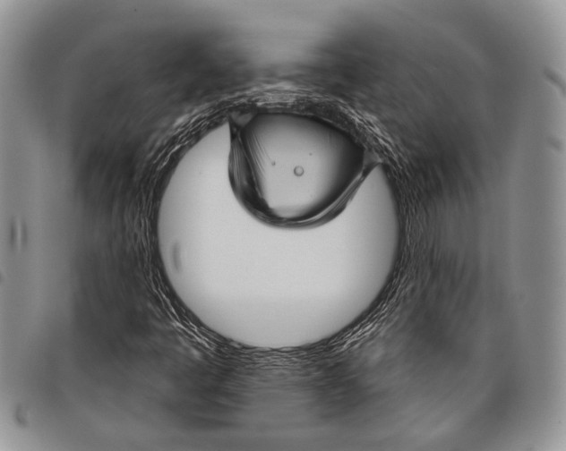X0000097951445200804140951