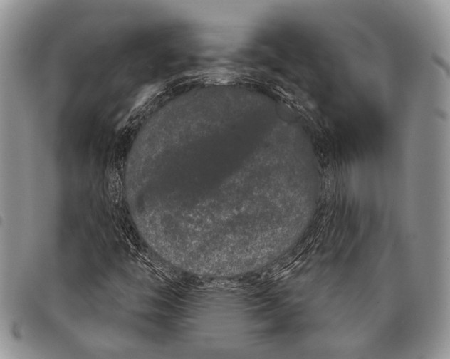 X0000097951446200804140951