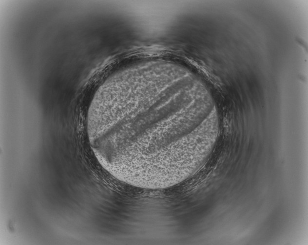 X0000097951447200804140951
