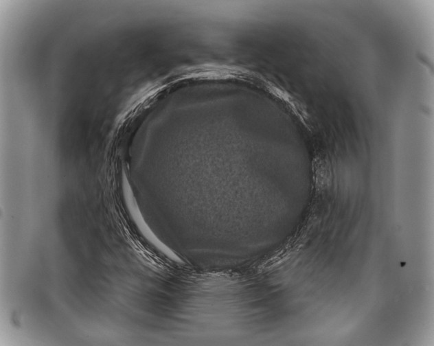 X0000097951448200804140951