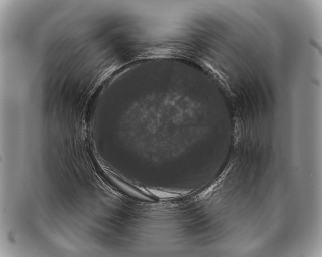 X0000097951449200804140951