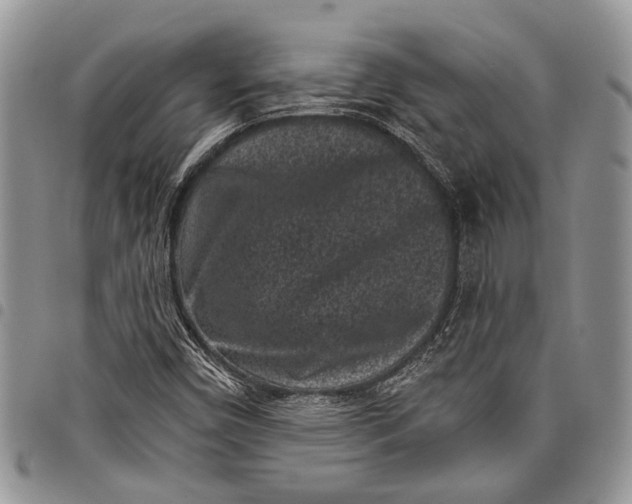 X0000097951450200804140951