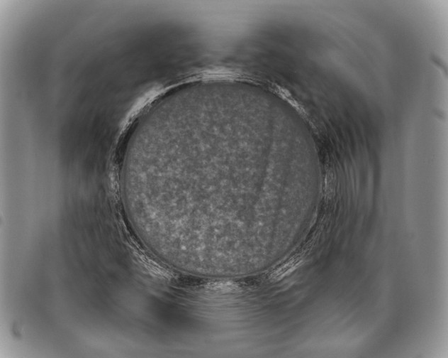 X0000097951454200804140951