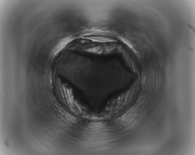 X0000097951455200804140951