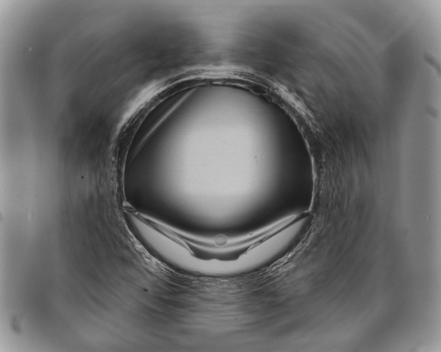 X0000097951456200804140951