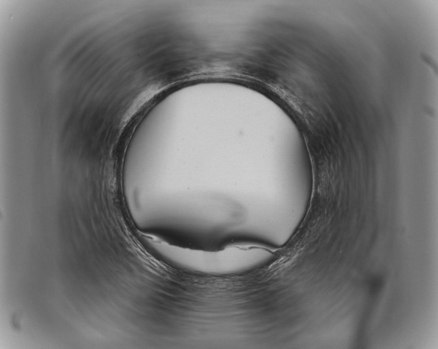 X0000097951458200804140951