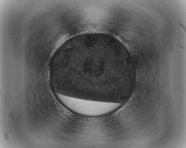 X0000097951459200804140951