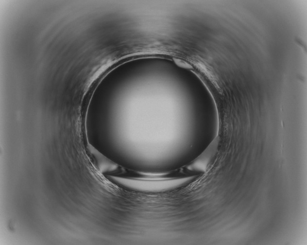 X0000097951460200804140951
