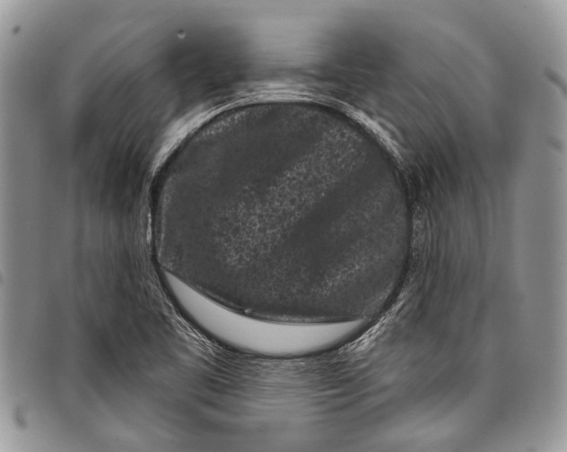 X0000097951461200804140951