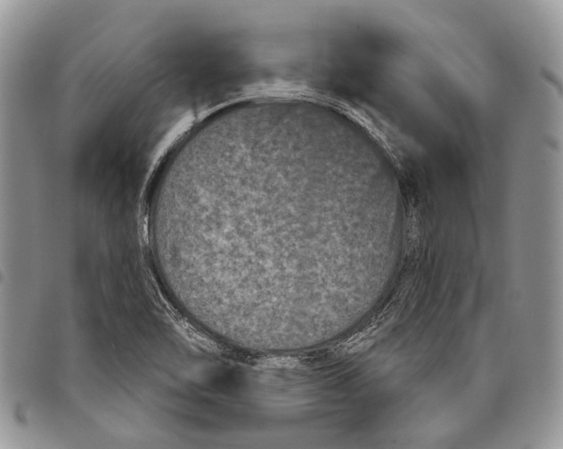 X0000097951462200804140951