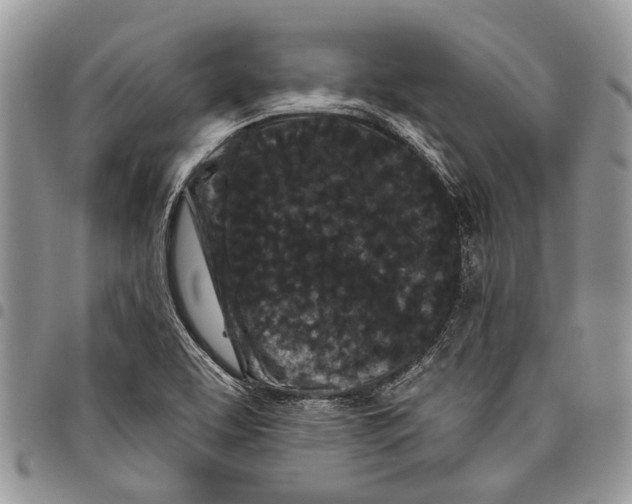 X0000097951463200804140951
