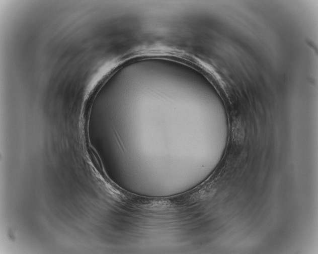 X0000097951464200804140951