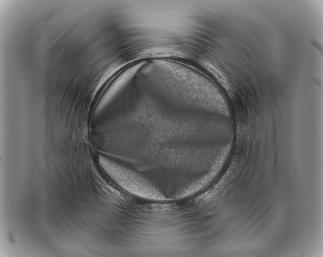 X0000097951465200804140951