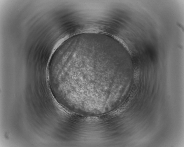 X0000097951466200804140951