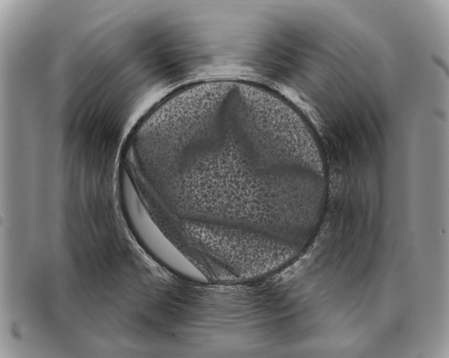 X0000097951469200804140950