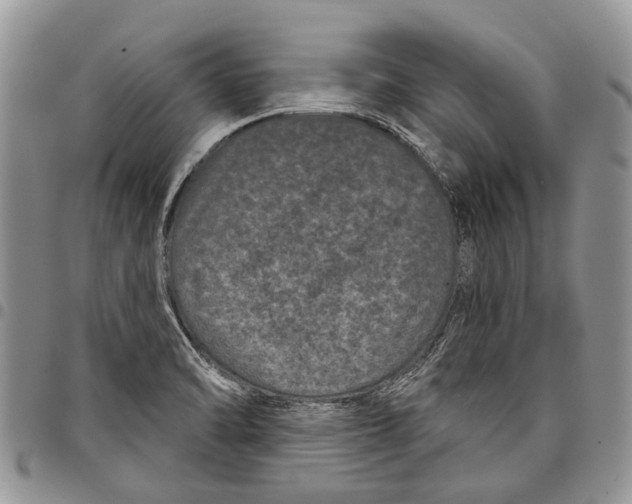 X0000097951470200804140950