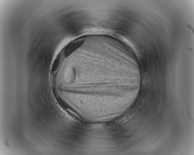 X0000097951472200804140950