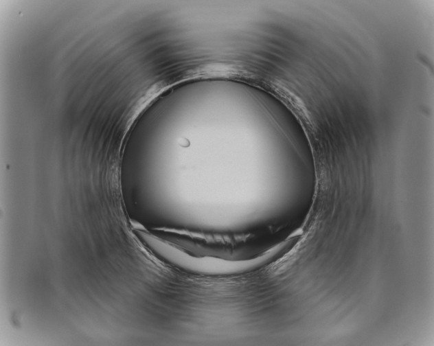 X0000097951473200804140950
