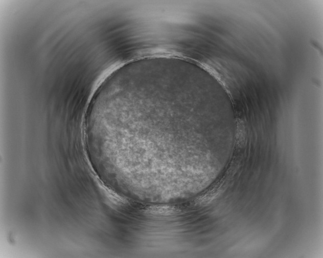 X0000097951474200804140950