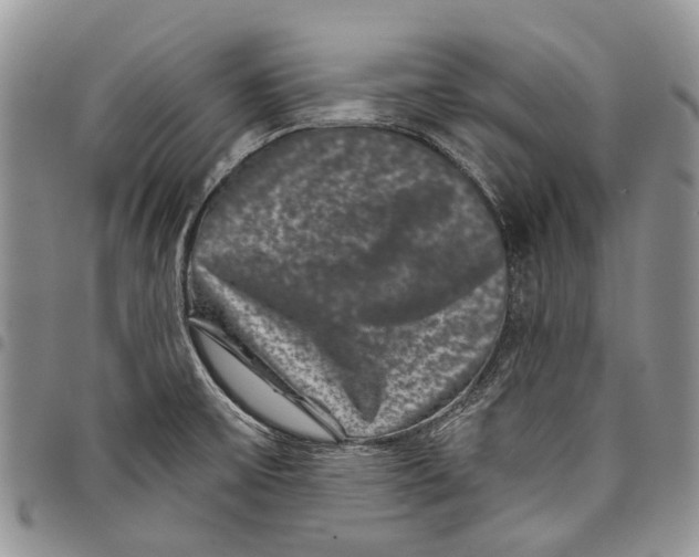 X0000097951475200804140950